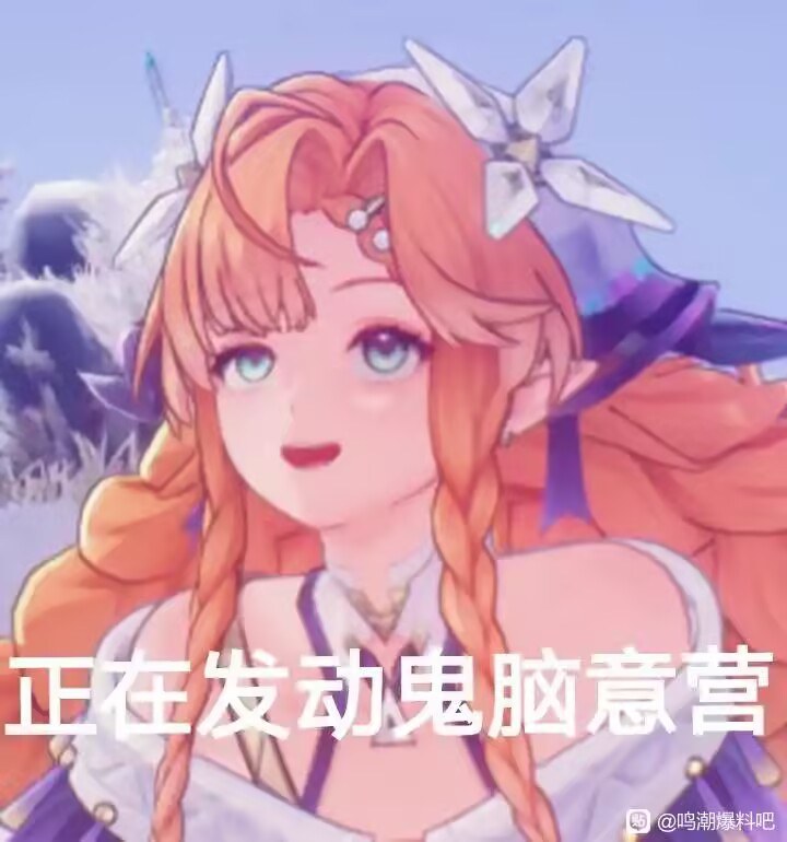 参考图