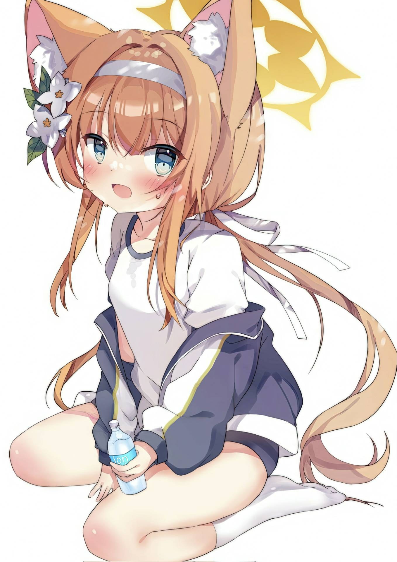 参考图
